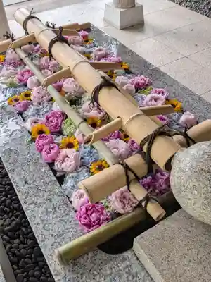 東郷神社(東京都)