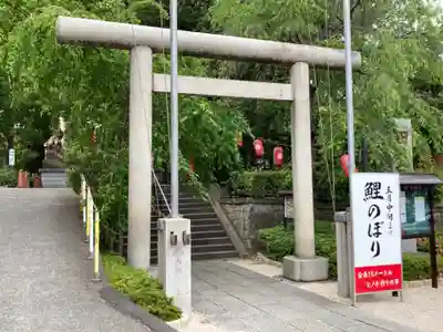田無神社の鳥居