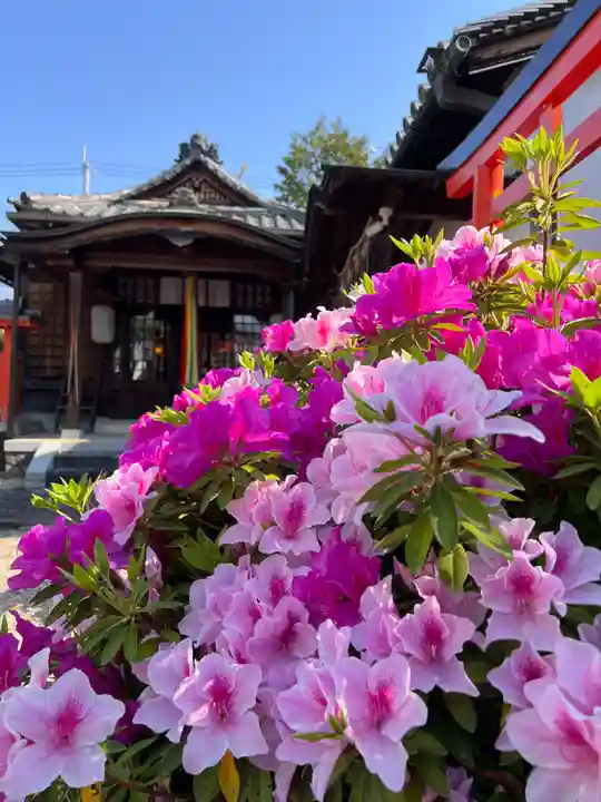 崇道天皇社(奈良県)