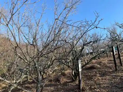 旗振毘沙門堂(兵庫県)