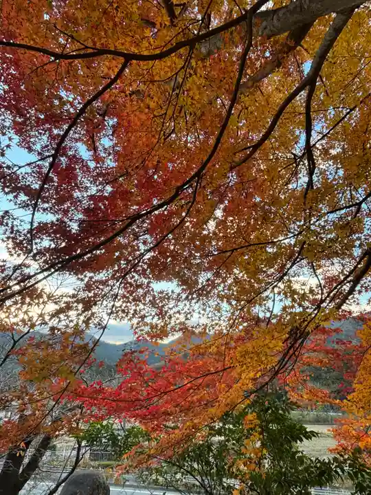美国神社(兵庫県)