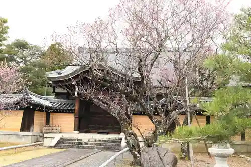くろ谷 金戒光明寺(京都府)