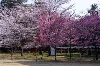 賀茂別雷神社（上賀茂神社）(京都府)