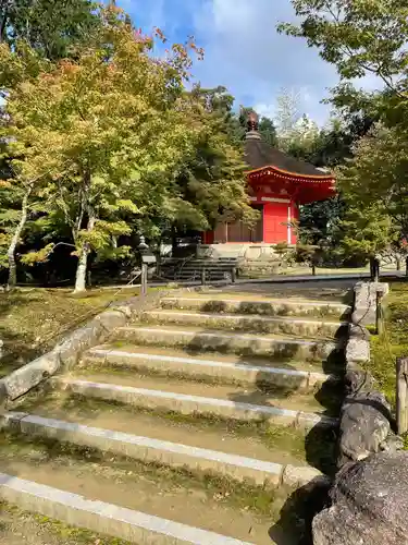 東福禅寺（東福寺）(京都府)