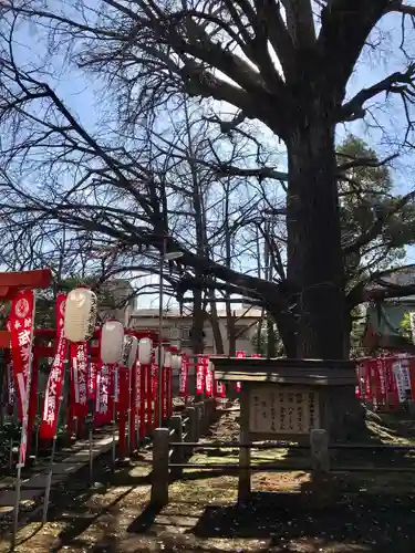 鬼子母神堂　(法明寺）(東京都)