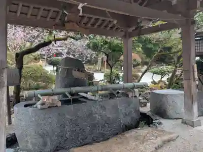 賀茂別雷神社（上賀茂神社）(京都府)