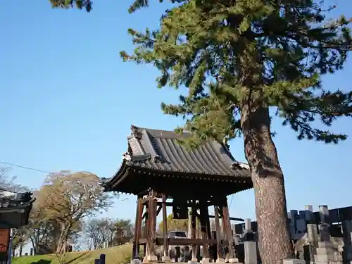 勝蓮寺のその他建物