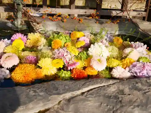 金倉寺の手水舎