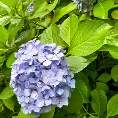 円覚寺(神奈川県)