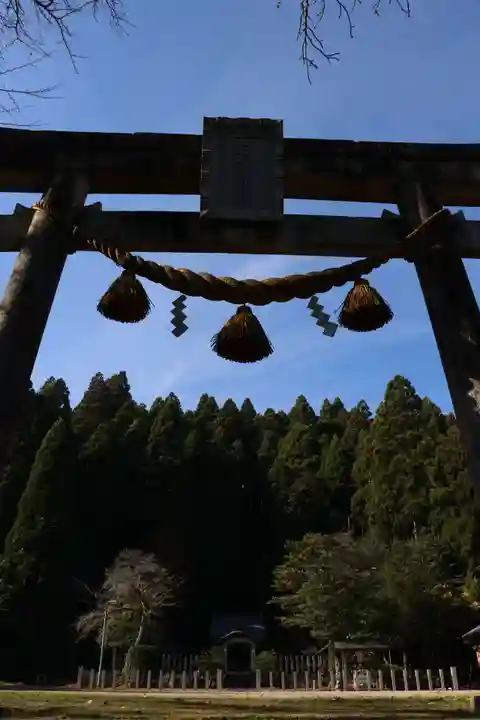 若宮神社(安曇川町長尾)(滋賀県)