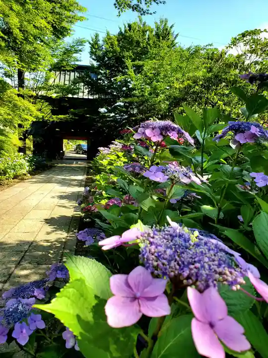 陽林寺(福島県)