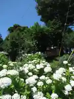 菅原神社(千葉県)
