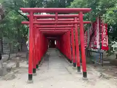 八幡社（白山社八幡社）の鳥居