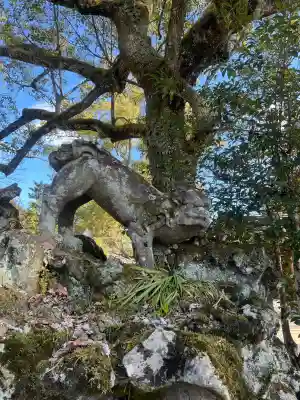 吉香神社の{uncategorized: "未分類", other: "その他", undefined: "問題あり", building: "その他建物", grave: "お墓", sacred_gate: "鳥居", guardian: "狛犬", statue: "像", buddha: "仏像", history: "歴史", nature: "自然", garden: "庭園", animal: "動物", pagoda: "塔", temizu: "手水舎", mountain_gate: "山門・神門", sanctuary: "本殿・本堂", subordinate: "末社・摂社", art: "芸術", scenery: "景色", jizo: "地蔵", ema: "絵馬", goshuin: "御朱印", omikuji: "おみくじ", items: "授与品その他", amulet: "お守り", goshuincho: "御朱印帳", eats: "食事", festival: "お祭り", votive_dance: "神楽", shichigosan: "七五三参", wedding: "結婚式", experience: "体験その他", initially: "初詣", around: "周辺", anti_infection: "感染症対策"}