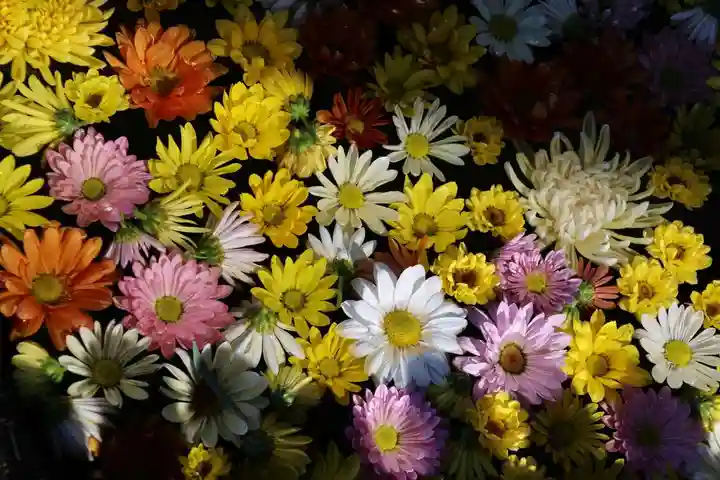 大鏑神社の手水舎