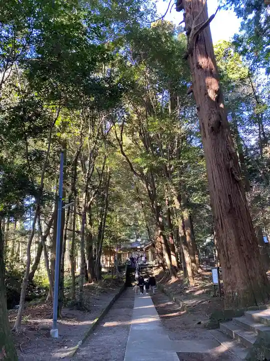 狭野神社(宮崎県)