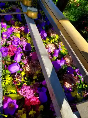 豊景神社の手水舎