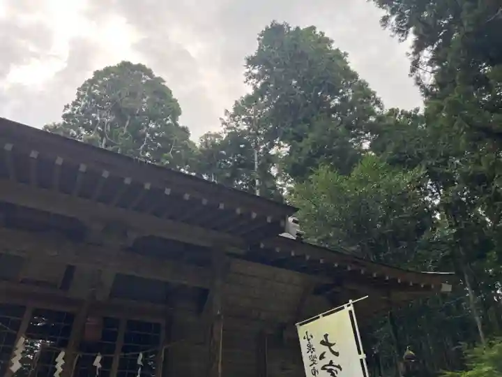 大宮温泉神社(栃木県)
