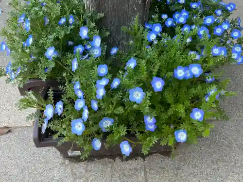 椿ノ海　水神社(千葉県)