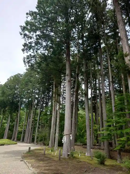 古峯神社(栃木県)