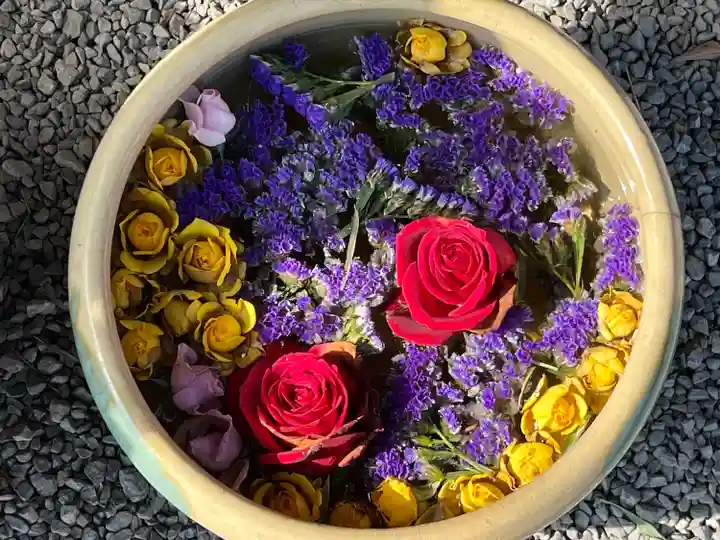 前玉神社(埼玉県)