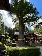 北口本宮冨士浅間神社(山梨県)