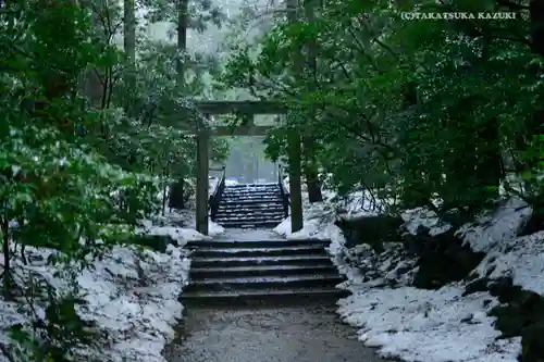 彌彦神社の鳥居