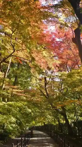 光明寺（粟生光明寺）の庭園