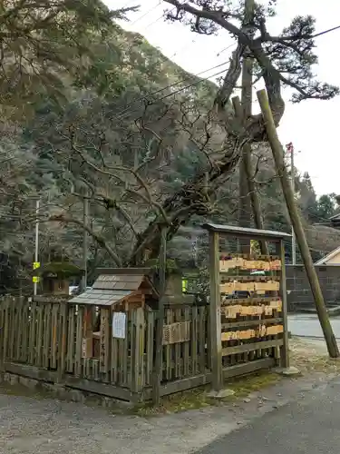 内々神社の自然