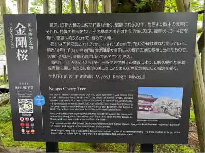 輪王寺(栃木県)