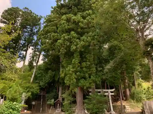 熊野神社の景色