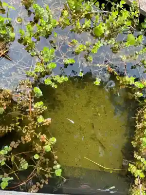 おふさ観音（観音寺）(奈良県)