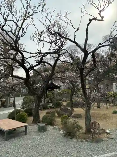 妙法寺の{uncategorized: "未分類", other: "その他", undefined: "問題あり", building: "その他建物", grave: "お墓", sacred_gate: "鳥居", guardian: "狛犬", statue: "像", buddha: "仏像", history: "歴史", nature: "自然", garden: "庭園", animal: "動物", pagoda: "塔", temizu: "手水舎", mountain_gate: "山門・神門", sanctuary: "本殿・本堂", subordinate: "末社・摂社", art: "芸術", scenery: "景色", jizo: "地蔵", ema: "絵馬", goshuin: "御朱印", omikuji: "おみくじ", items: "授与品その他", amulet: "お守り", goshuincho: "御朱印帳", eats: "食事", festival: "お祭り", votive_dance: "神楽", shichigosan: "七五三参", wedding: "結婚式", experience: "体験その他", initially: "初詣", around: "周辺", anti_infection: "感染症対策"}