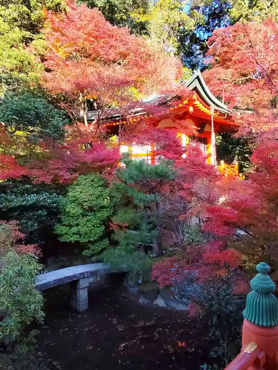 毘沙門堂門跡(京都府)