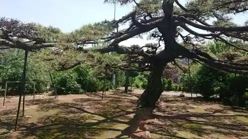 飯玉神社の庭園