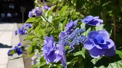 報徳二宮神社(神奈川県)