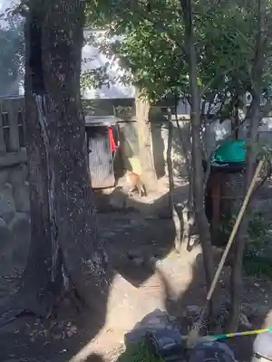 冨士八幡社(愛知県)