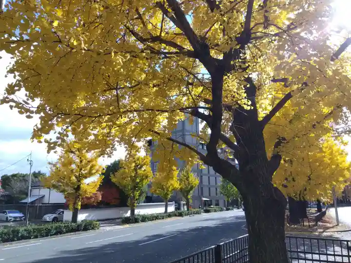 慈受院門跡(京都府)