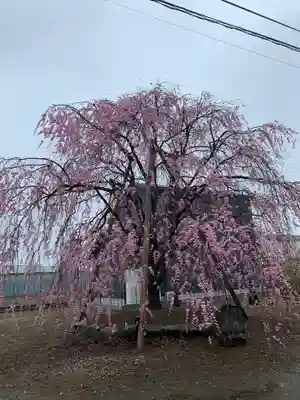 満願寺(埼玉県)