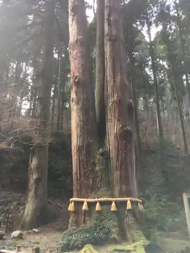 御岩神社の自然