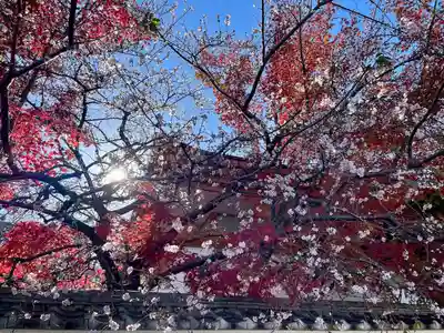 稱名院(東京都)