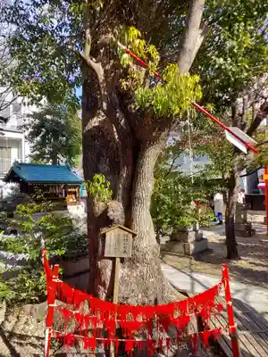 三輪神社(愛知県)