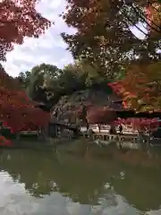 永保寺の庭園