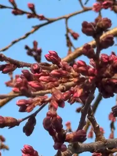 観音神社(広島県)