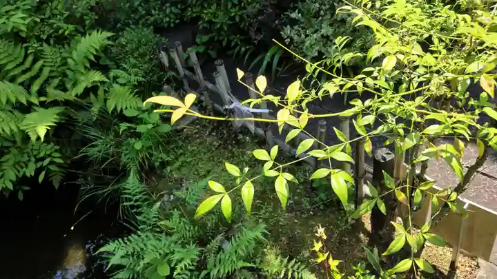 霊源院(京都府)