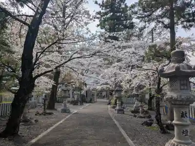 多岐神社(岐阜県)
