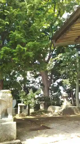 八坂神社の狛犬