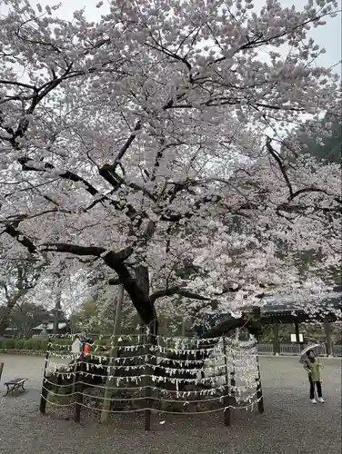 高麗神社(埼玉県)