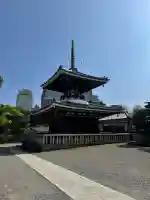 護国寺の{uncategorized: "未分類", other: "その他", undefined: "問題あり", building: "その他建物", grave: "お墓", sacred_gate: "鳥居", guardian: "狛犬", statue: "像", buddha: "仏像", history: "歴史", nature: "自然", garden: "庭園", animal: "動物", pagoda: "塔", temizu: "手水舎", mountain_gate: "山門・神門", sanctuary: "本殿・本堂", subordinate: "末社・摂社", art: "芸術", scenery: "景色", jizo: "地蔵", ema: "絵馬", goshuin: "御朱印", omikuji: "おみくじ", items: "授与品その他", amulet: "お守り", goshuincho: "御朱印帳", eats: "食事", festival: "お祭り", votive_dance: "神楽", shichigosan: "七五三参", wedding: "結婚式", experience: "体験その他", initially: "初詣", around: "周辺", anti_infection: "感染症対策"}