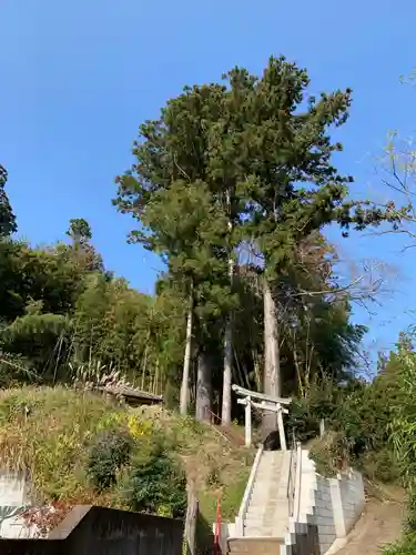 皇産霊神社の鳥居